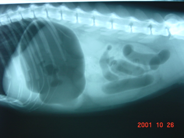 Case2