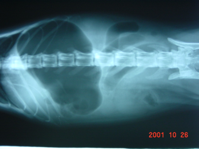 Case2
